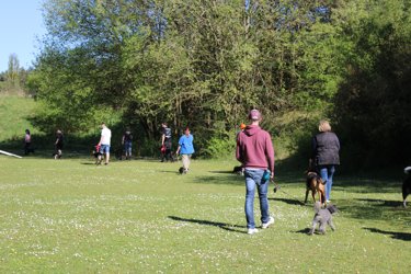 mehrere Trainingsteilnehmer auf einer grossen Wiese gehen nebeneinander mit dem Fuß Befehl